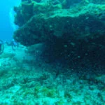 fernando-de-noronha-mergulho-rofundidade-web