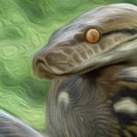 lenda-da-cobra-grande