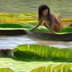 lenda-da-vitoria-regia