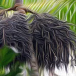 lenda-do-acai