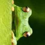sapinho-verde-wallpaper