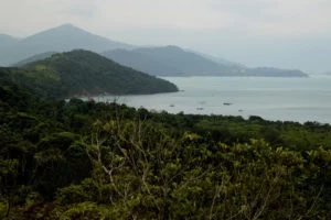 Ilha-Anchieta-Maki-Pastore-05-web