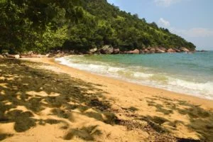 Ilha-Anchieta-Maki-Pastore-06-web