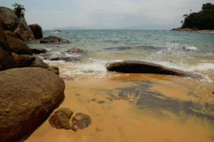 Ilha-Anchieta-Maki-Pastore-08-web