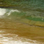 Ilha-Anchieta-Maki-Pastore-09b-web