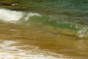Ilha-Anchieta-Maki-Pastore-09b-web