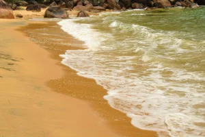Ilha-Anchieta-Maki-Pastore-10-web