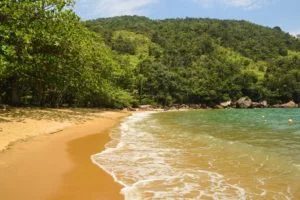 Ilha-Anchieta-Maki-Pastore-11-web