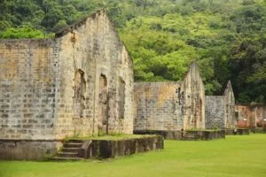 Ilha-Anchieta-Maki-Pastore-13-web