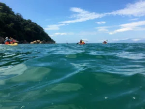 Ilha-Anchieta-Maki-Pastore-D-web