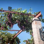 mendoza-thabata-andrade-0437