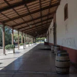 mendoza-thabata-andrade-0451