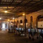 mendoza-thabata-andrade-0461