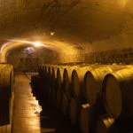 mendoza-thabata-andrade-0481