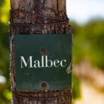 mendoza-thabata-andrade-0525