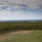 mendoza-thabata-andrade-0550