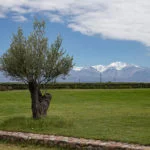 mendoza-thabata-andrade-0555