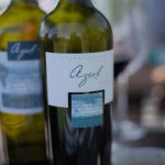 mendoza-thabata-andrade-0592