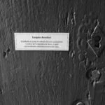 Insígnia Jesuítica na porta do Museu Barão de Mauá