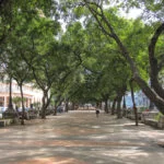 Havana-Briones–20