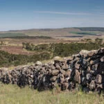 ausentes-mmasulino-8310