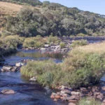 ausentes-mmasulino-8323