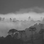 cambara-do-sul-mmasulino-0725