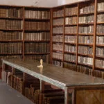 thiago-de-andrade-coimbra (28)