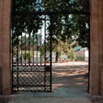 thiago-de-andrade-coimbra (58)