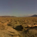 U2’s_Joshua_Tree