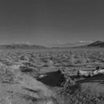 u2-divulgacao–2