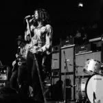 FOTO 17 deep purple
