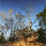 Pedra-do-Tubarão