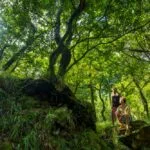 Laurissilva_Natureza_Madeira004©Andre-Carvalho