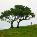 Natureza_030©Andre-Carvalho