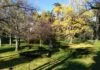 Jardim Botânico Tropical em Lisboa