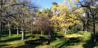 Jardim Botânico Tropical em Lisboa