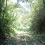 perus-estrada-de-ferro-pirapora-Trilhos-na-Mata-marco-briones-web
