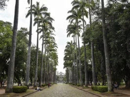 Circuito Liberdade