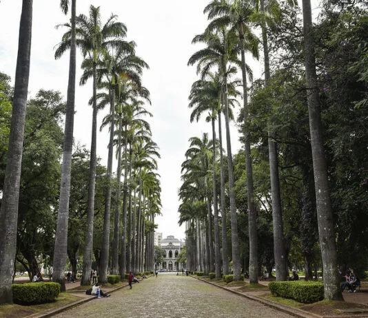 Circuito Liberdade