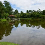 acre-assis-lima–17
