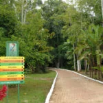 acre-marcos-vicentti–12