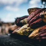 alexandre-brondino-b-F9K6DUq2I-unsplash