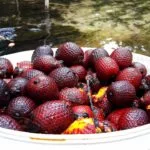 buriti-edinaldo maciel