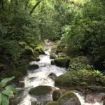 ekoa-6-foto-por-Patricia-Chemin