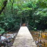 ekoa 7 – foto por Patrícia Chemin
