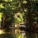 macapa-marcia-d-o-carmo–49