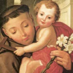 santo-antonio-biografia-78-web