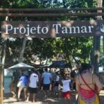 Gleidson Santos_Praia do Forte_Projeto Tamar_Mata de Sao Joao_BA
