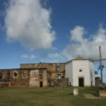 mata de são joao – tatyana andrade 18